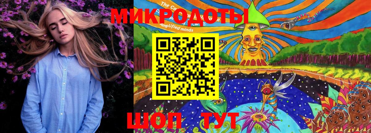 Псилоцибиновые грибы Psilocybine cubensis Великий Новгород