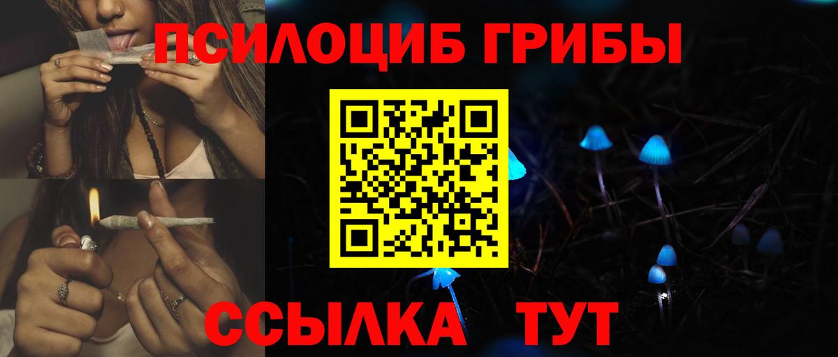 Великий Новгород  Псилоцибиновые грибы Psilocybe  Вход с VPN  где можно купить наркотик  Псилоцибиновые грибы GOLDEN TEACHER 